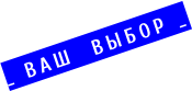  ВАШ &nbsp;ВЫБОР